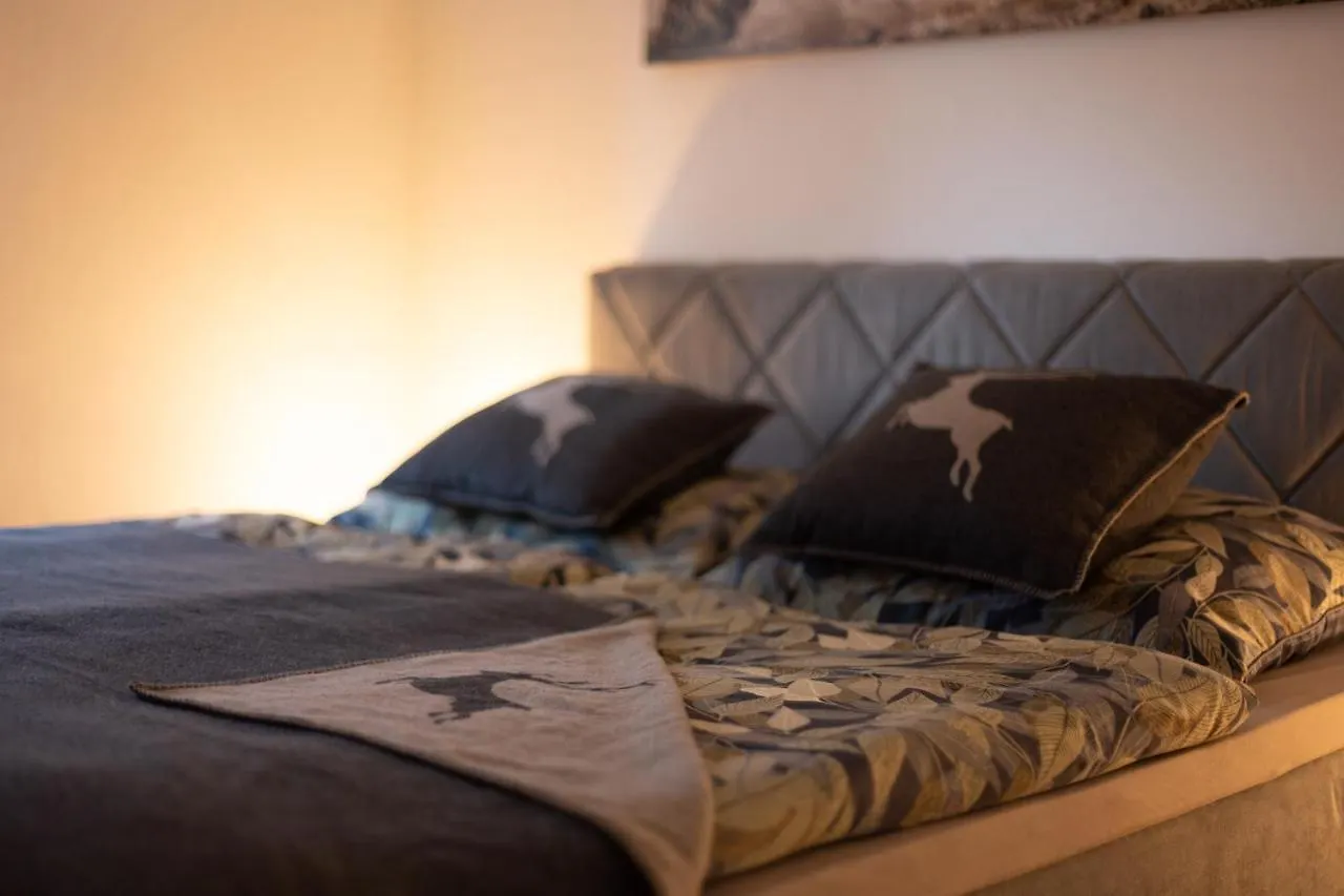 Apartment Garden Town Appartement Salzburg Austria