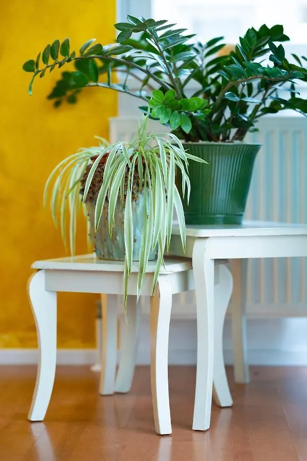 Garden Town Appartement Salzburg 0*,  Austria